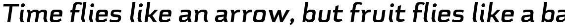 Schwager Sans Bold Italic
