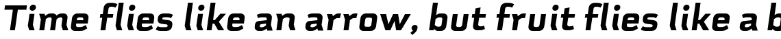Schwager Sans Black Italic