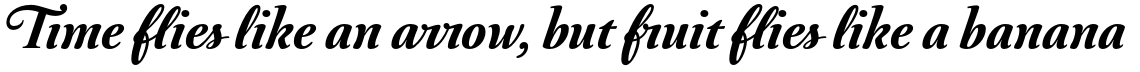 Australis Pro Swash Bold
