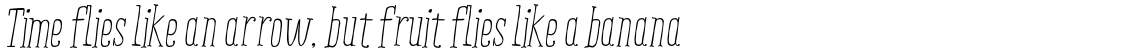 Ride my Bike Serif ESSENTIAL Italic
