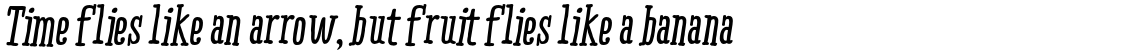 Ride my Bike Serif ESSENTIAL Bold Italic