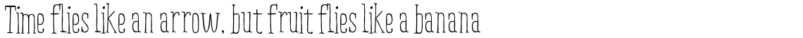 Ride my Bike Serif PRO Regular