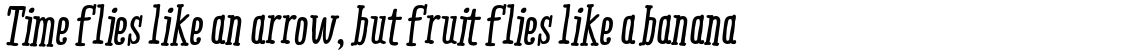 Ride my Bike Serif PRO Bold Italic