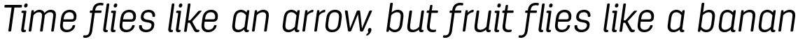 Antartida Rounded Essential Light Italic