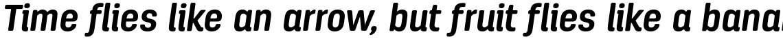 Antartida Rounded Essential Bold Italic
