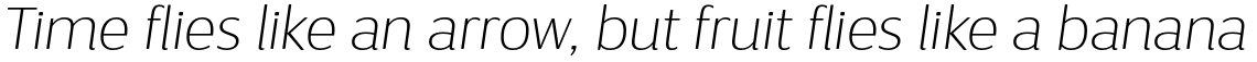 D Sari Thin Italic