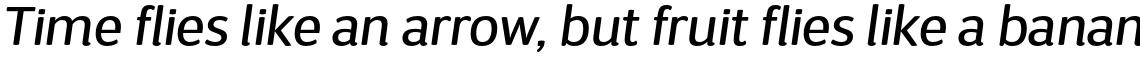D Sari Regular Italic