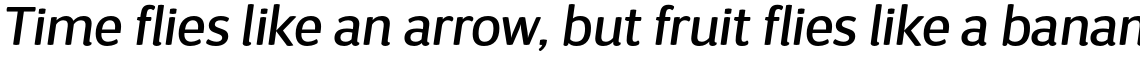 D Sari Medium Italic