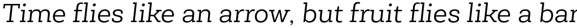 NewSlab Light Italic