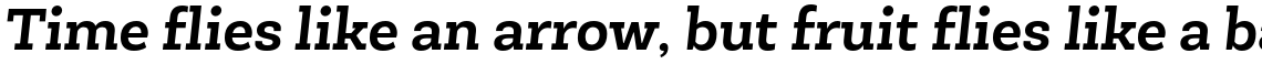 NewSlab Bold Italic