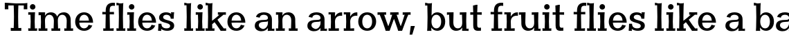 Clasica Slab Bold