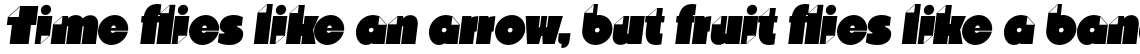 Nido Black Italic