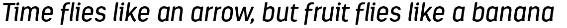 Estandar Rounded Italic