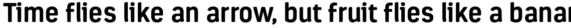 Estandar Rounded Bold