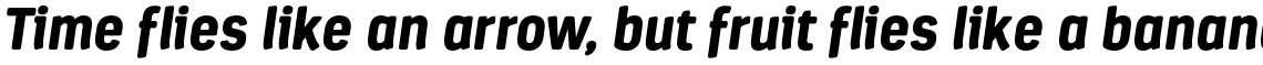 Estandar Rounded Black Italic