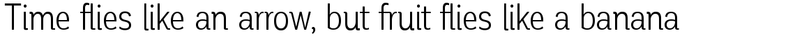 Corporative Basic Condensed Family Pack 2 