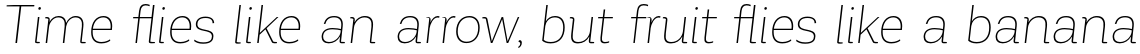 Corporative Thin Italic