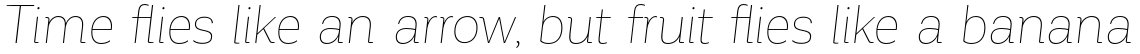 Corporative Hair Italic