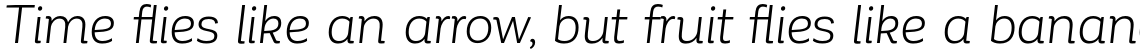 Corporative Alt Book Italic