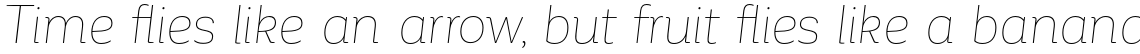 Corporative Alt Hair Italic