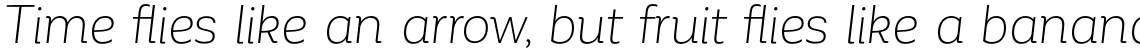 Corporative Alt Light Italic