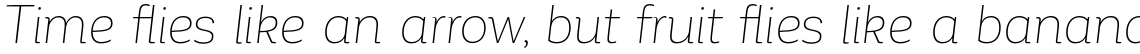 Corporative Alt Thin Italic