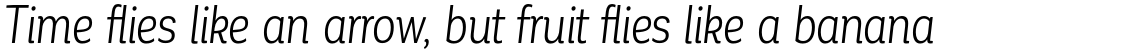 Corporative Alt Cnd Book Italic