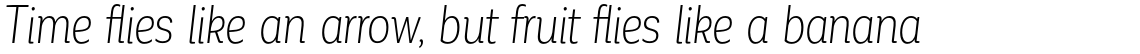 Corporative Alt Cnd Light Italic