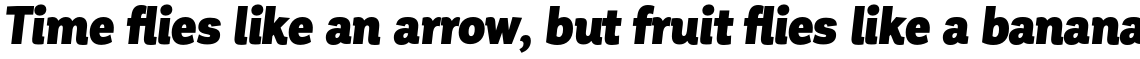 Corporative Cnd Black Italic
