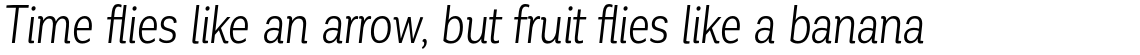 Corporative Cnd Book Italic