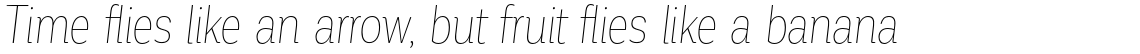 Corporative Cnd Hair Italic