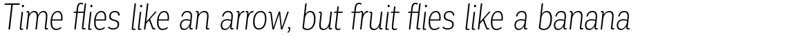Corporative Cnd Light Italic