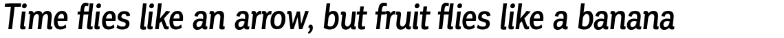 Corporative Cnd Medium Italic