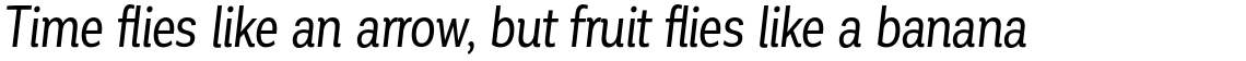 Corporative Cnd Regular Italic