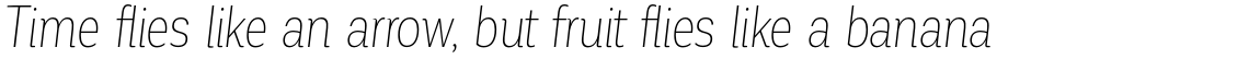 Corporative Cnd Thin Italic