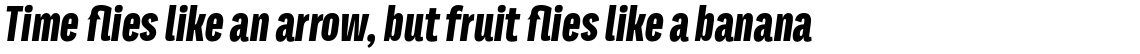 Titular Heavy Italic