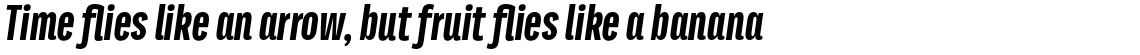 Titular Alt Black Italic