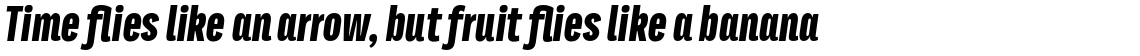 Titular Alt Heavy Italic