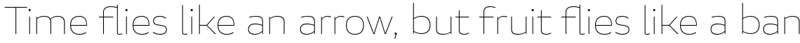 Blanc Thin