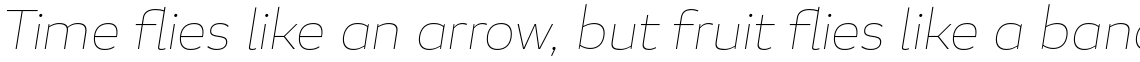 Blanc Thin Italic