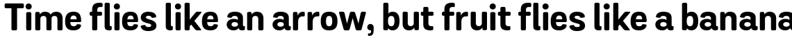 Grota Sans Rounded Bold