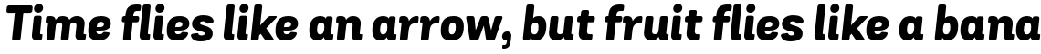 Grota Sans Rounded Extra Bold Italic