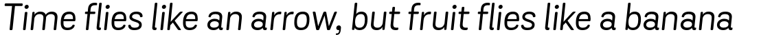 Grota Sans Rounded Alt Regular Italic