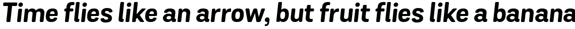 Grota Sans Rounded Alt Bold Italic