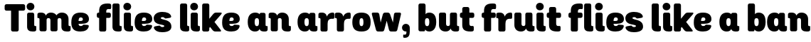 Grota Sans Rounded Alt Black