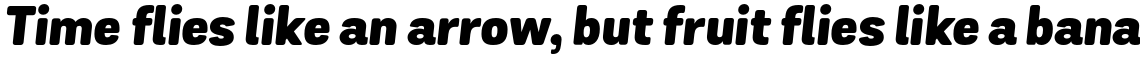 Grota Sans Rounded Alt Black Italic