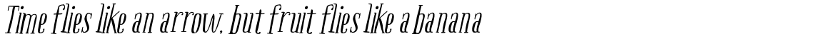 Boho Serif Italic