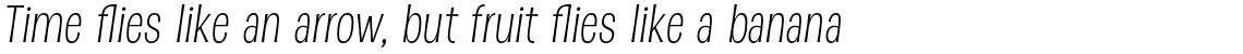D Sert Light Italic