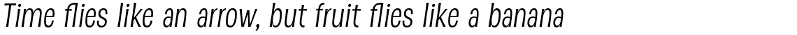 D Sert Regular Italic