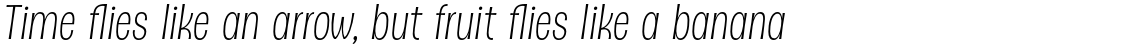 D Sert Alt Light Italic
